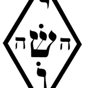 Adesivo Yoshua Médio