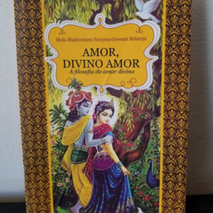 LIVRO AMOR DIVINO AMOR