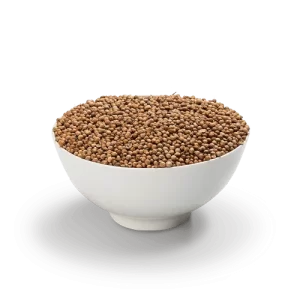 Coentro em grãos 25g