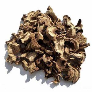 Funghi seco 50g